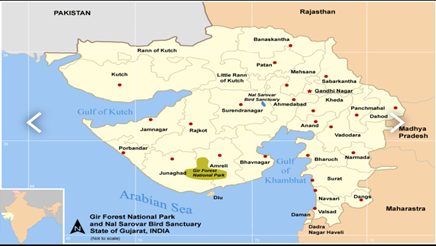 Asiatic lions Map